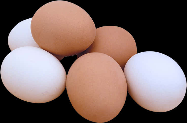 Egg Png 737 X 484