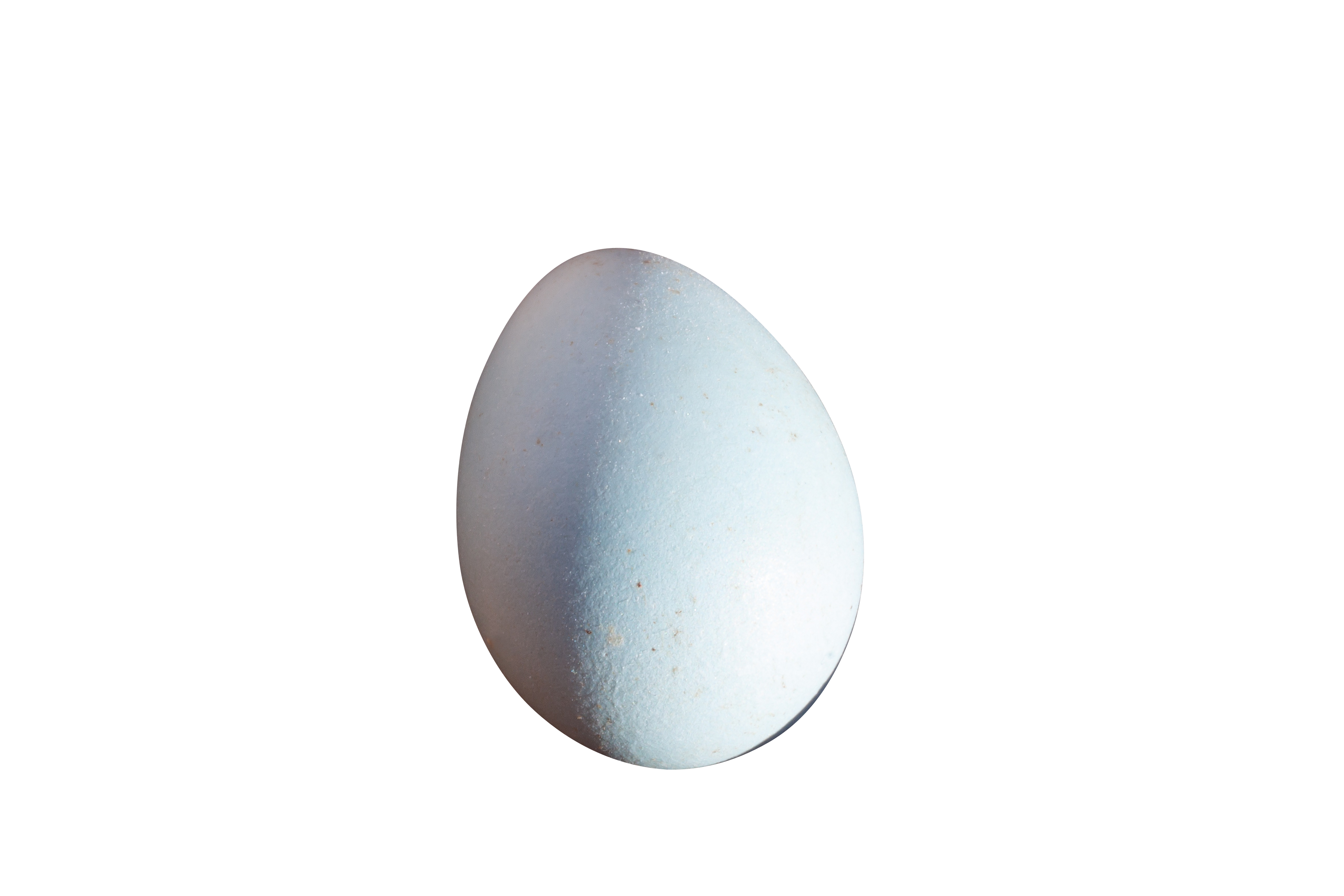 A White Egg On A Black Background