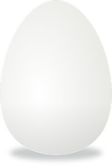 A White Egg With Black Background
