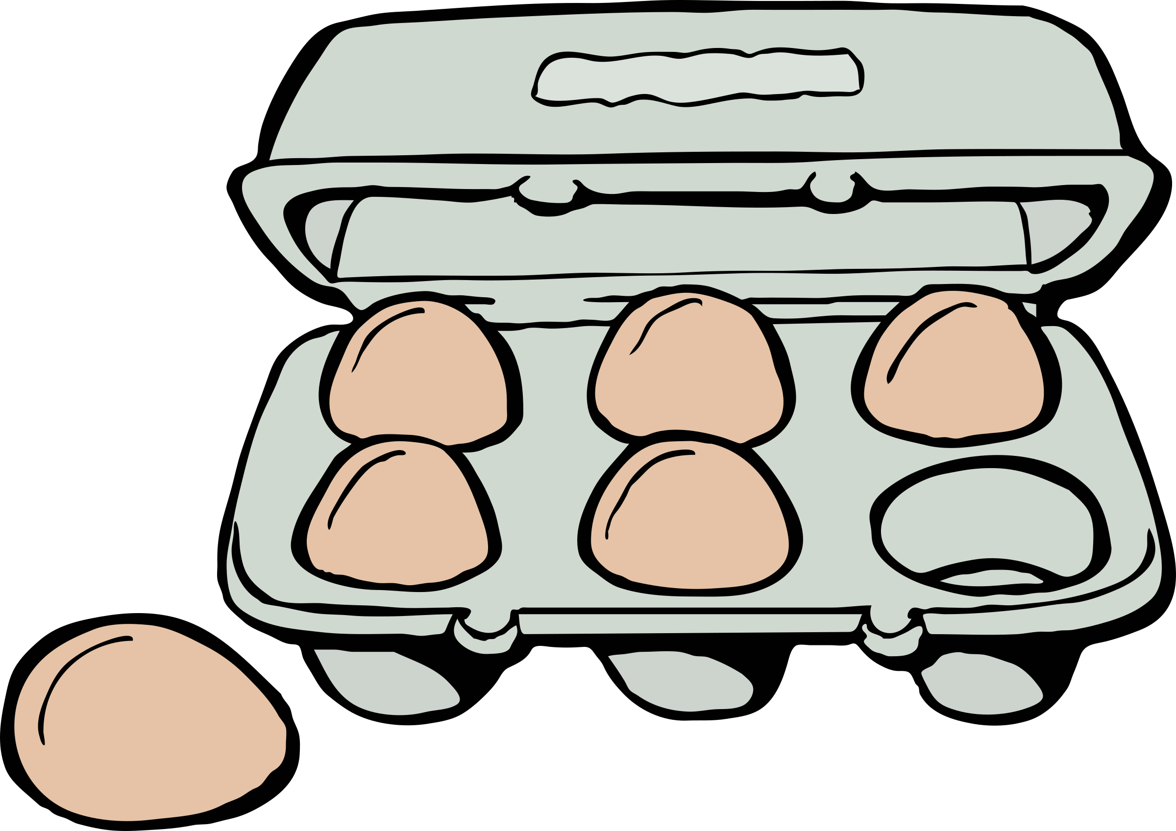 A Carton Of Eggs