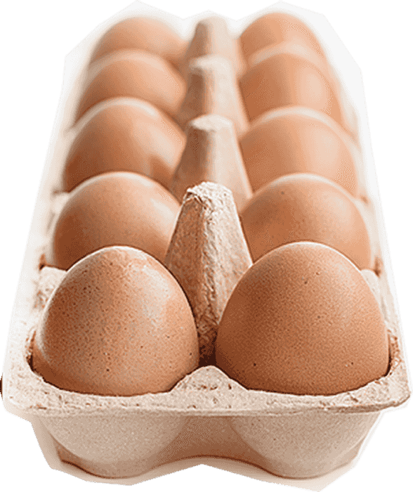 Egg Carton Png 588 X 700