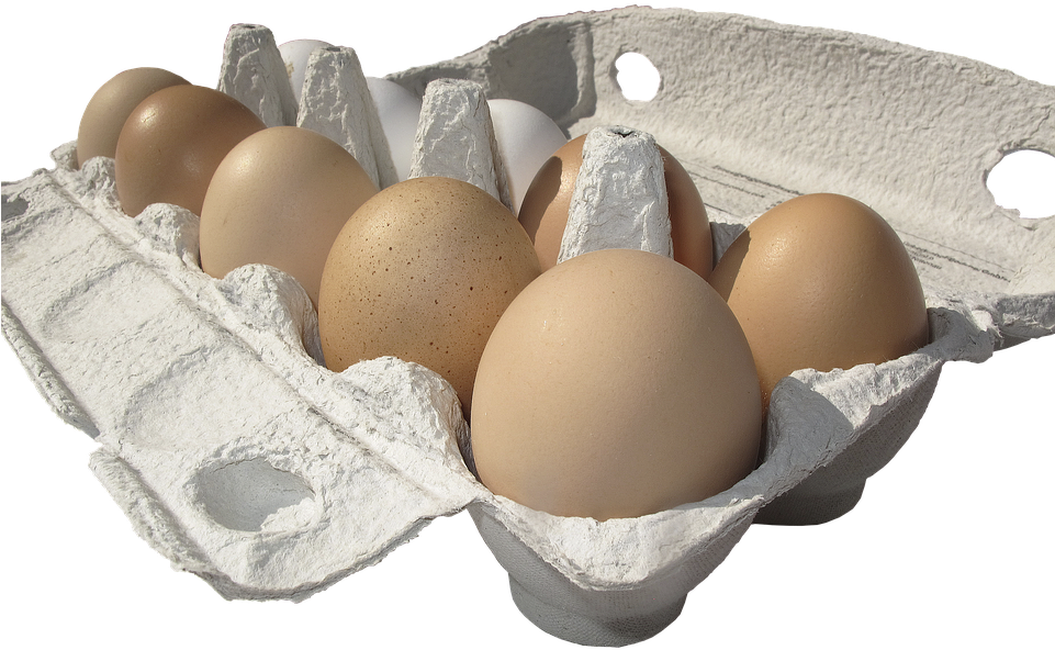 A Carton Of Eggs