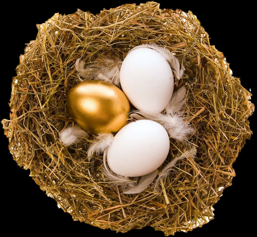 A Nest With Eggs And A Gold Egg