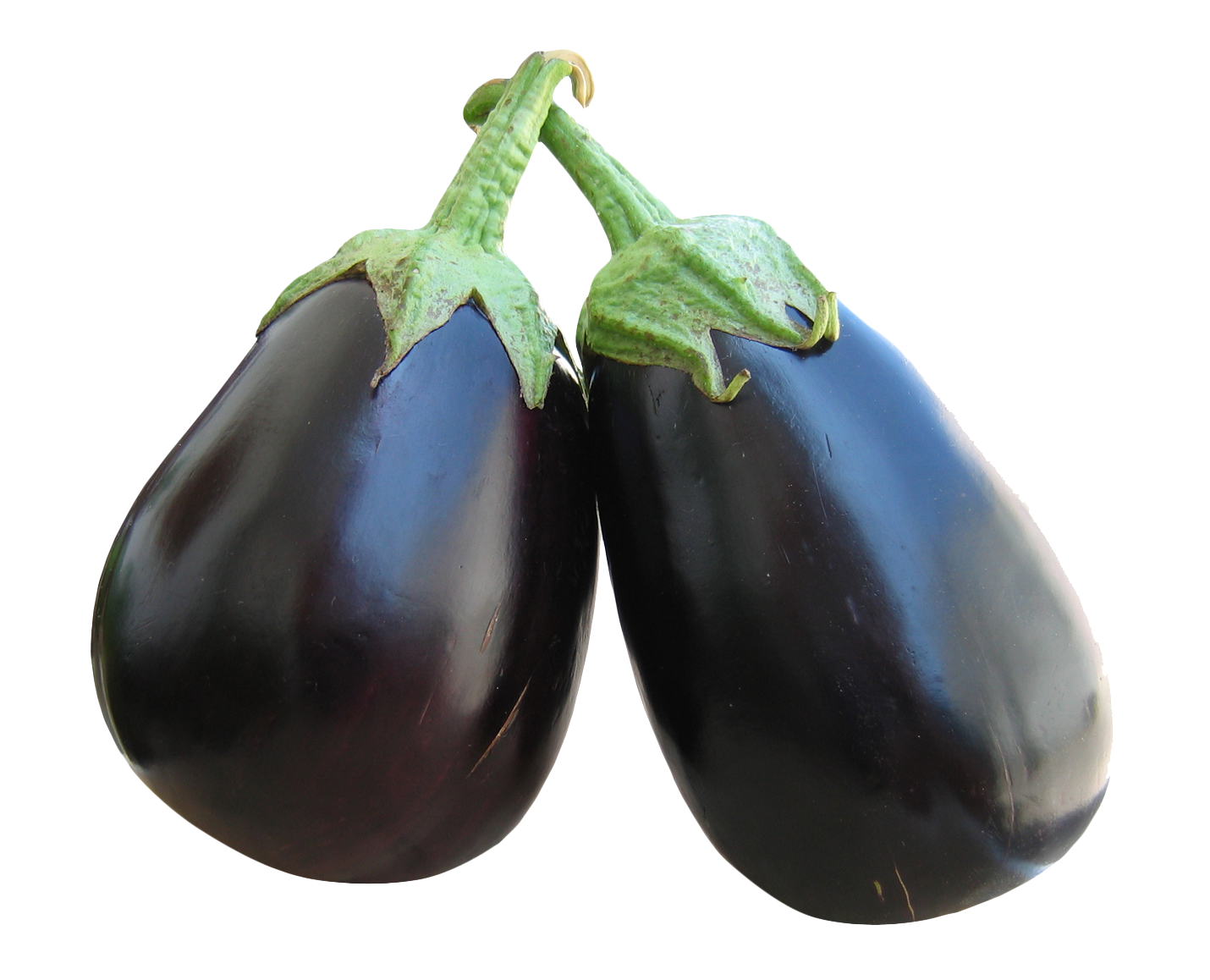 Two Eggplants With Green Stems