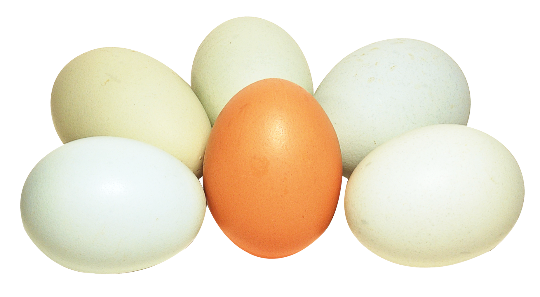 A Group Of Eggs With One Egg In The Middle