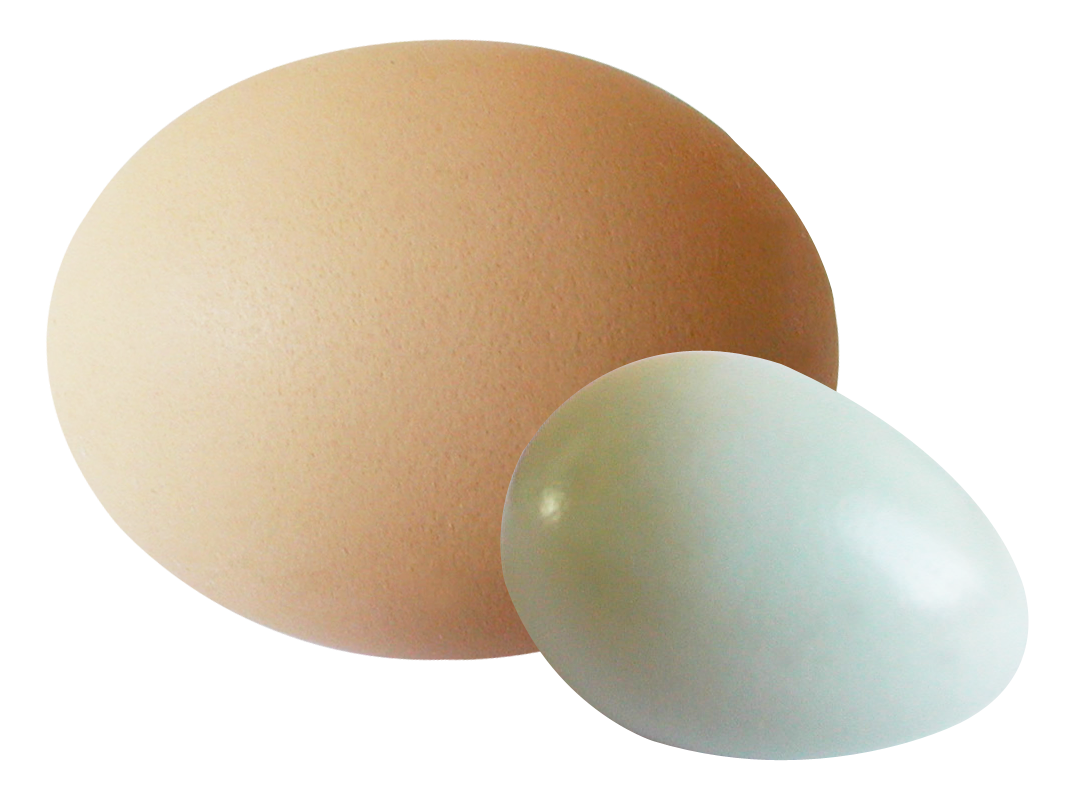 A Close Up Of Two Eggs