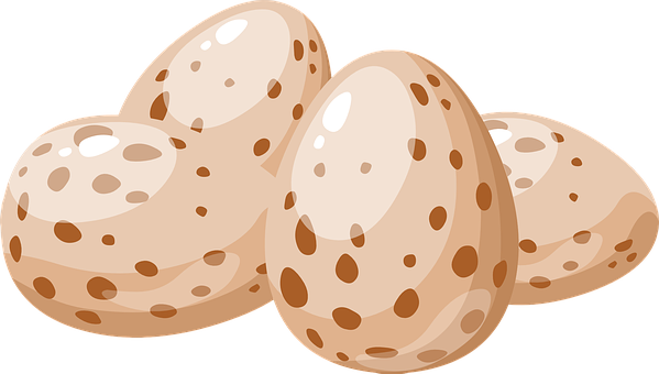 A Group Of Eggs With Brown Spots
