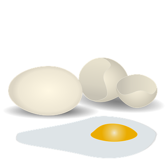 Eggs And A Broken Egg