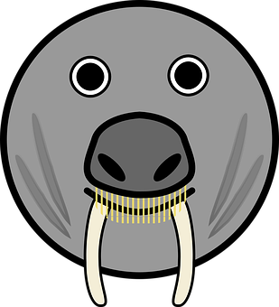 A Cartoon Walrus Face