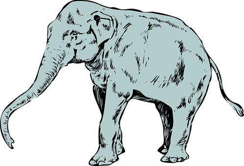A Drawing Of An Elephant