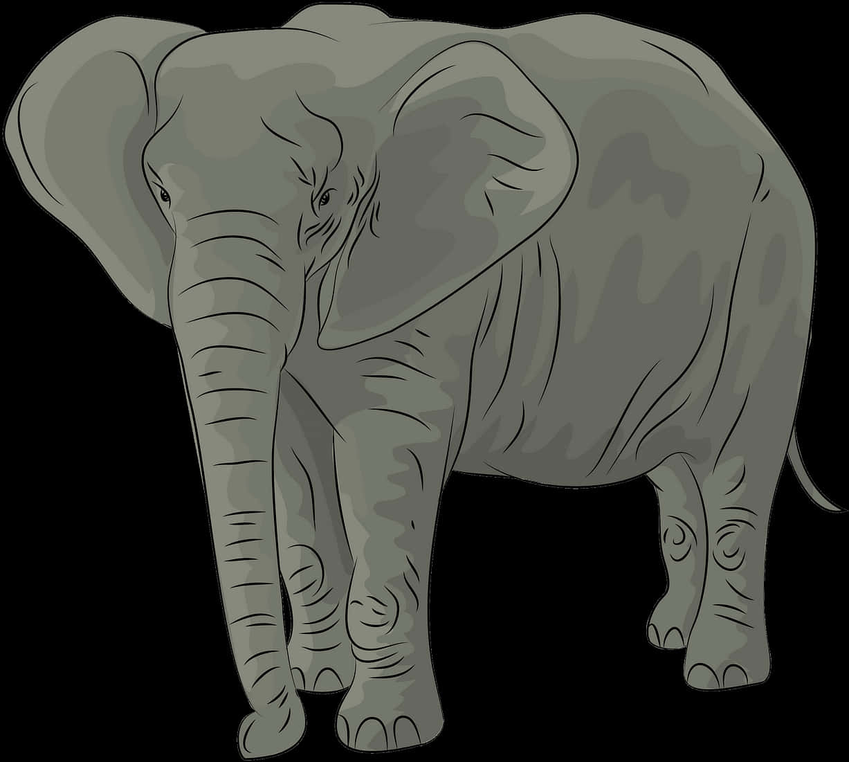 A Grey Elephant With Large Ears