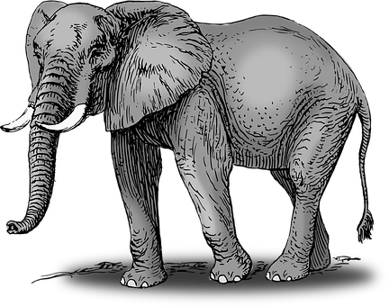 Elephant Png 432 X 340