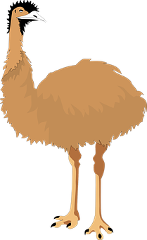 A Cartoon Of An Ostrich