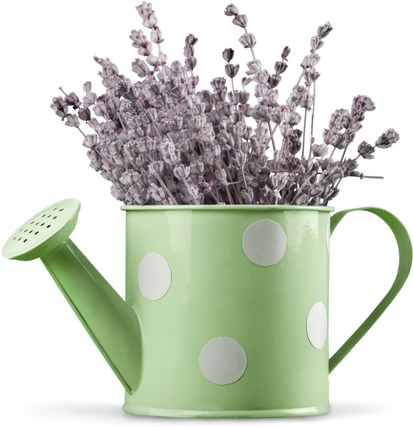 A Watering Can With Lavender In It