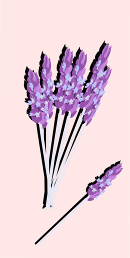 A Bunch Of Lavender Flowers