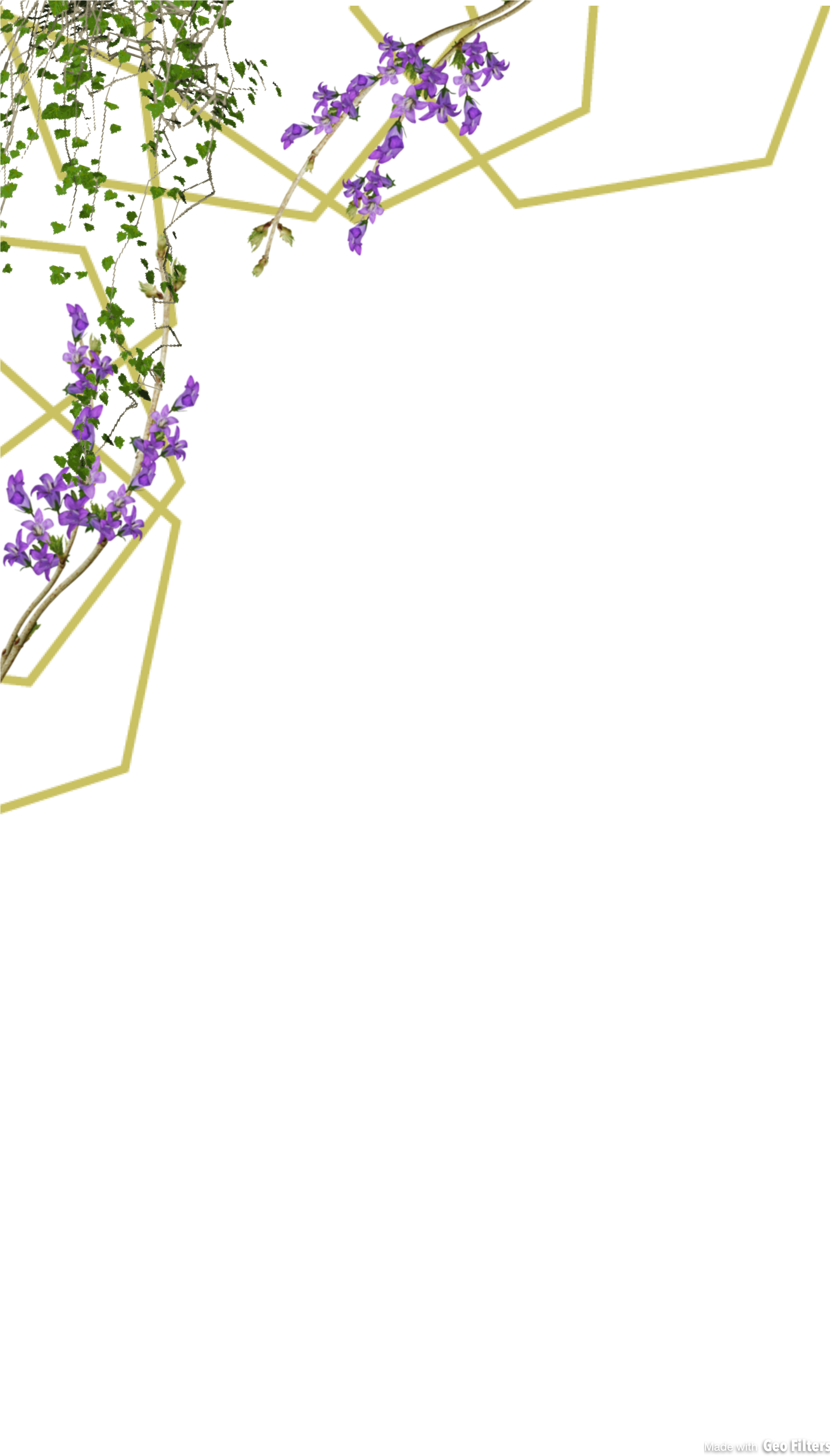 A Purple Flowers On A Black Background