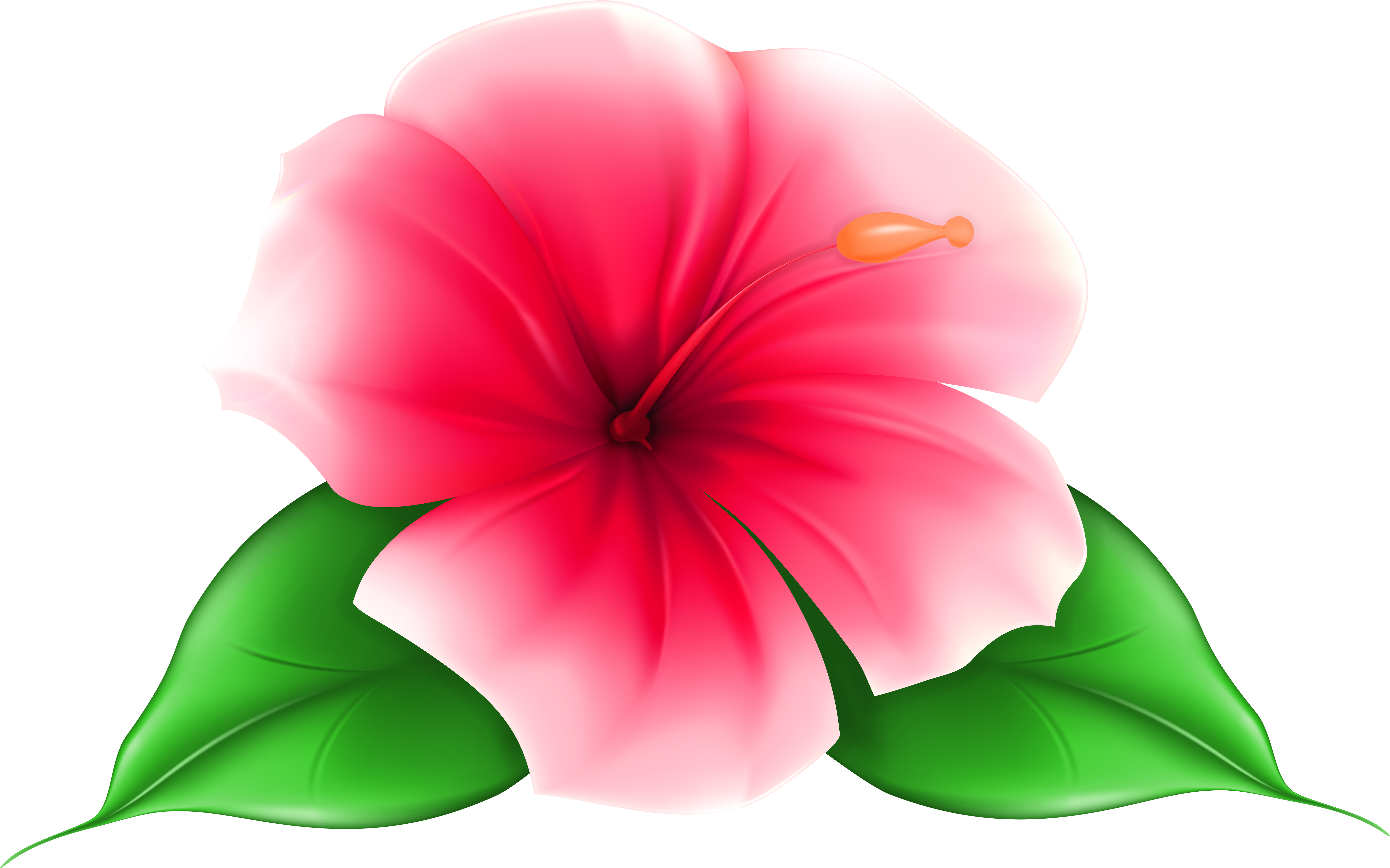 A Pink Flower With Green Leaves
