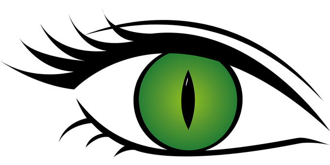 A Green Eye With Black Pupil