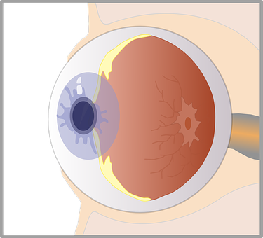 A Close-up Of A Human Eye