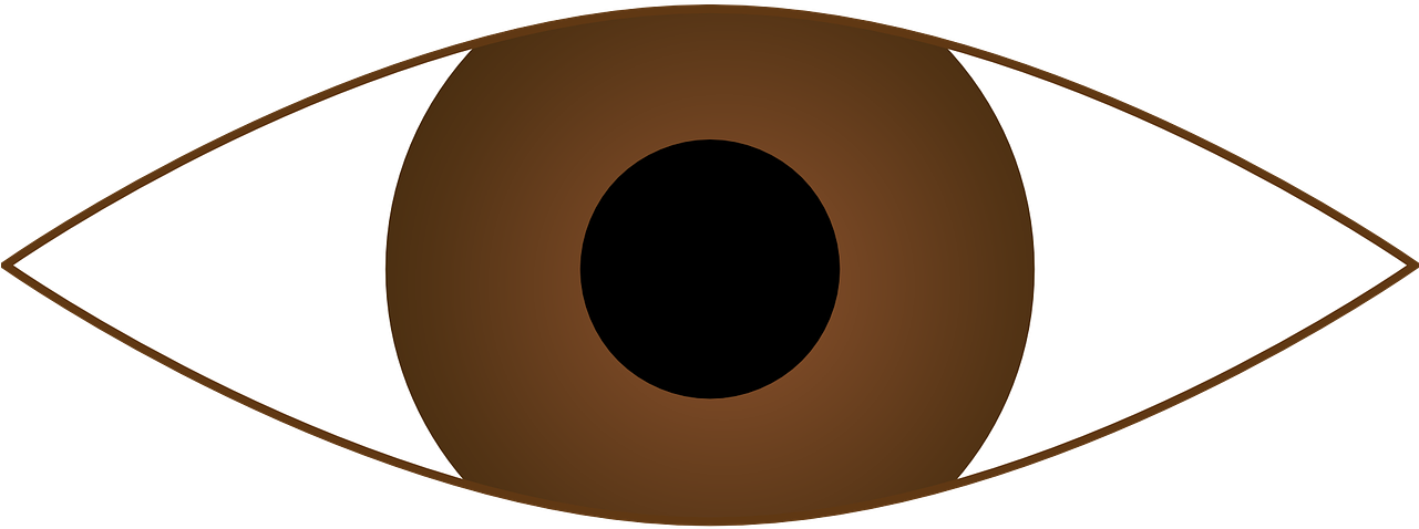 A Brown Eye With A Black Circle