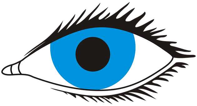 A Blue Eye With Black Eye Lashes