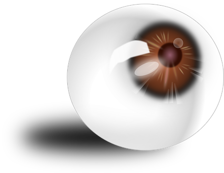 A Close-up Of An Eyeball