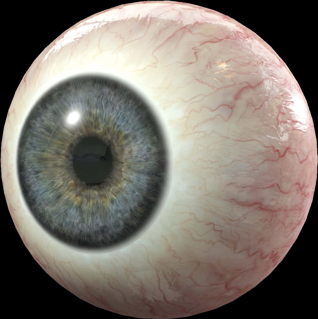 A Close Up Of A Human Eyeball