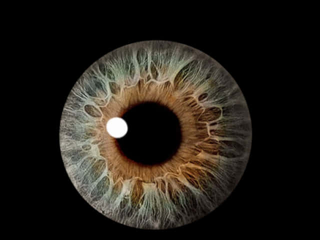 A Close Up Of An Eye