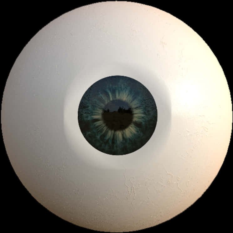 Eyeball With Indented Iris