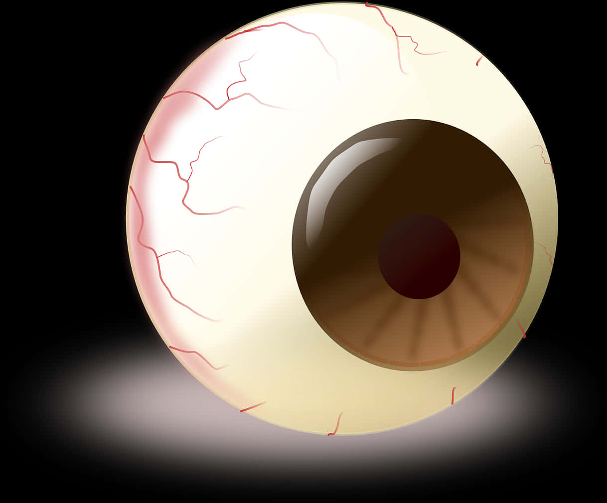 A Close-up Of A Human Eyeball