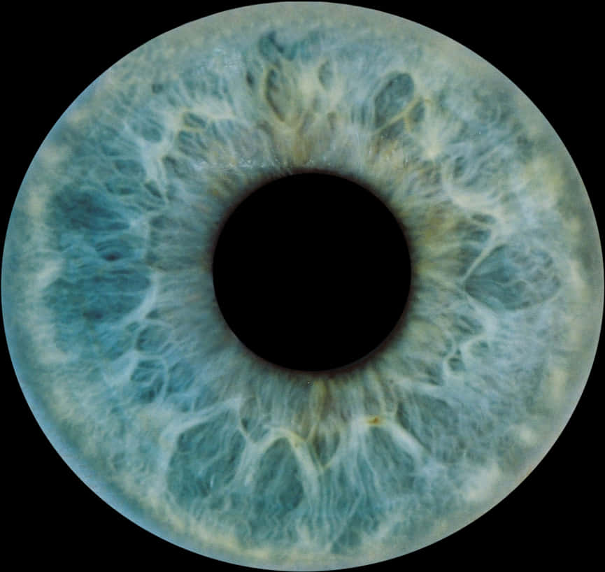 A Close Up Of An Eye
