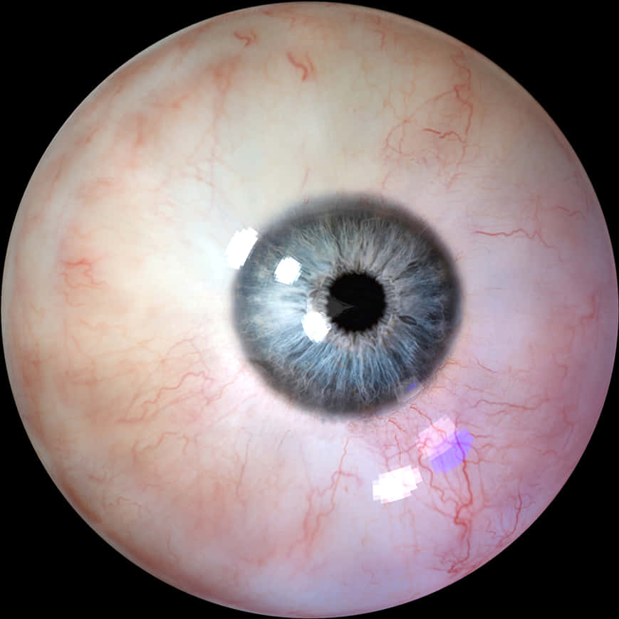 Realistic Eyeball With Tiny Iris