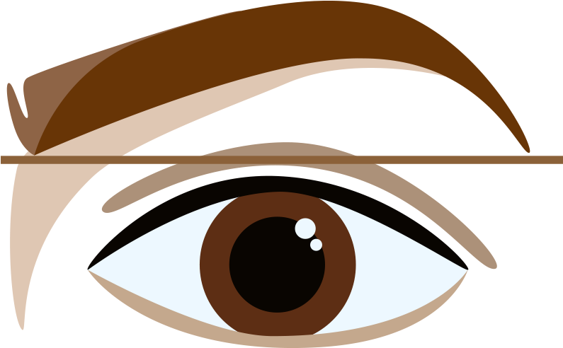 A Brown Eye With Eyebrow And Brow