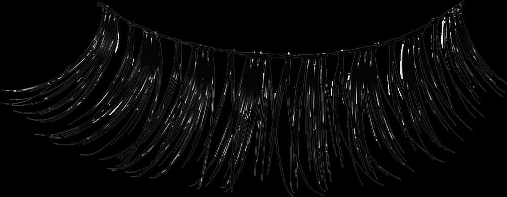A Black And White Image Of A String Of Long Black Fringes