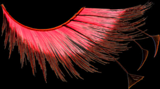 A Close-up Of A Feather