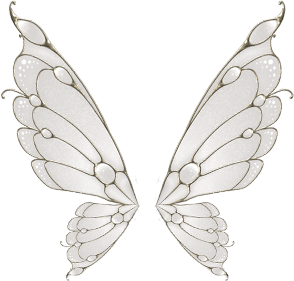 A Pair Of Wings With Silver And White Design