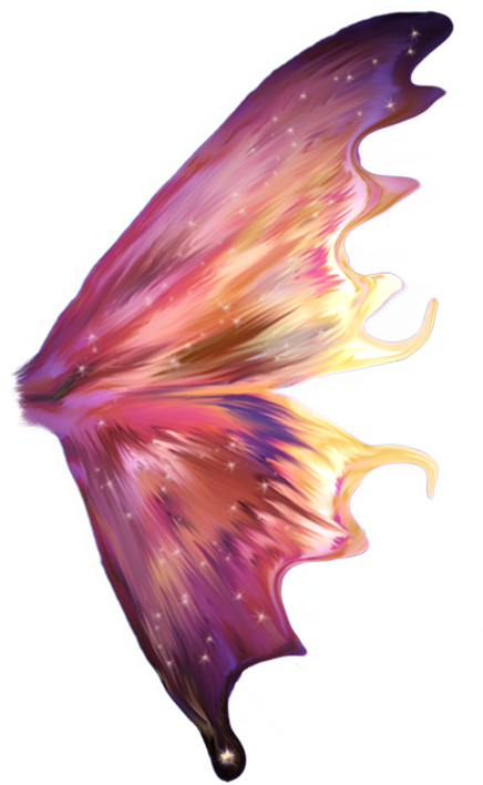 Fairy Wings Png 436 X 708