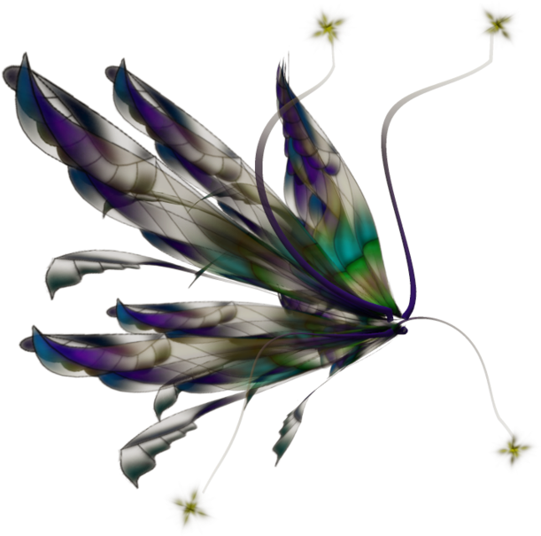 Fairy Wings Png 611 X 605