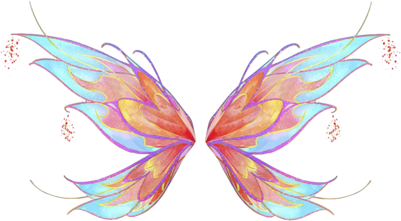 A Pair Of Colorful Wings