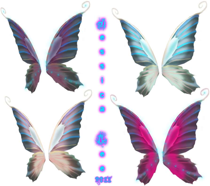A Group Of Colorful Wings