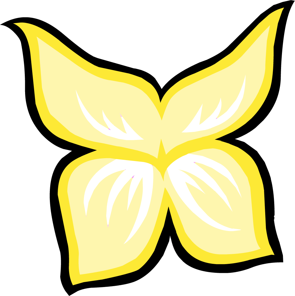 A Yellow Butterfly With Black Background