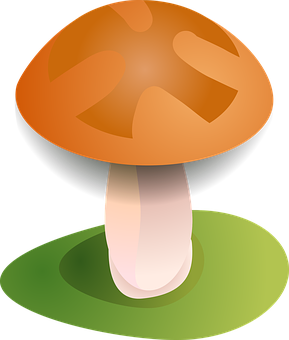 A Mushroom On A Green Surface