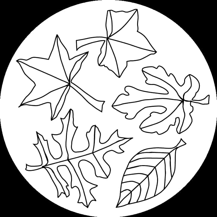 A Black And White Circle With Leaves