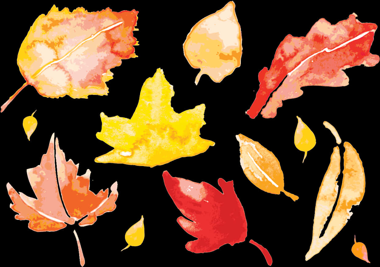 A Group Of Colorful Leaves