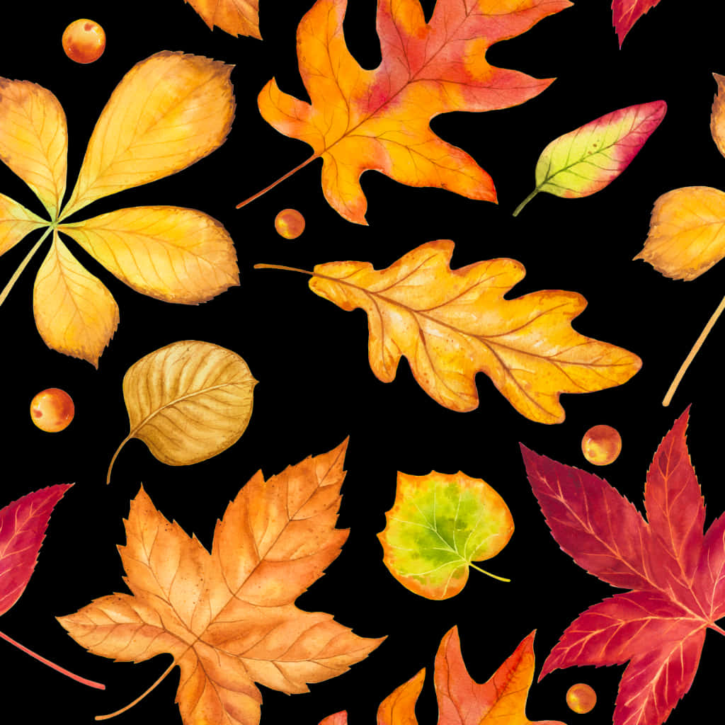 A Pattern Of Colorful Leaves