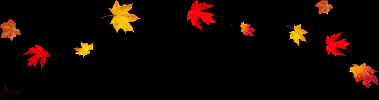 A Red Leaf On A Black Background