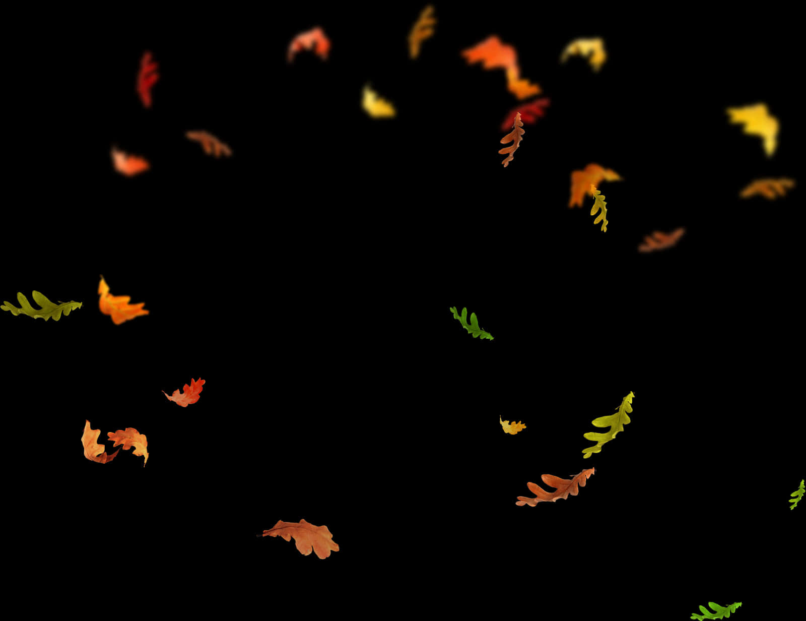 A Group Of Leaves Flying In The Air