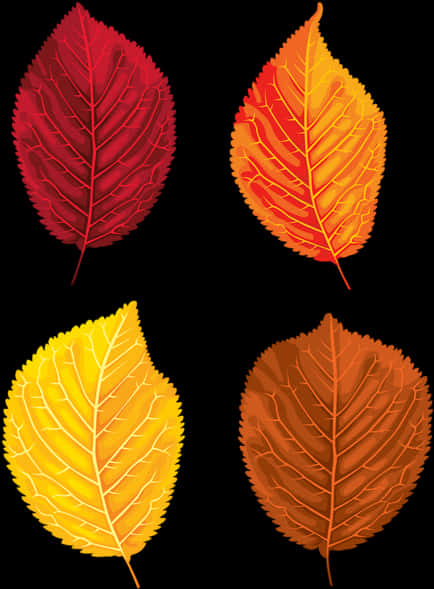 A Set Of Colorful Leaves