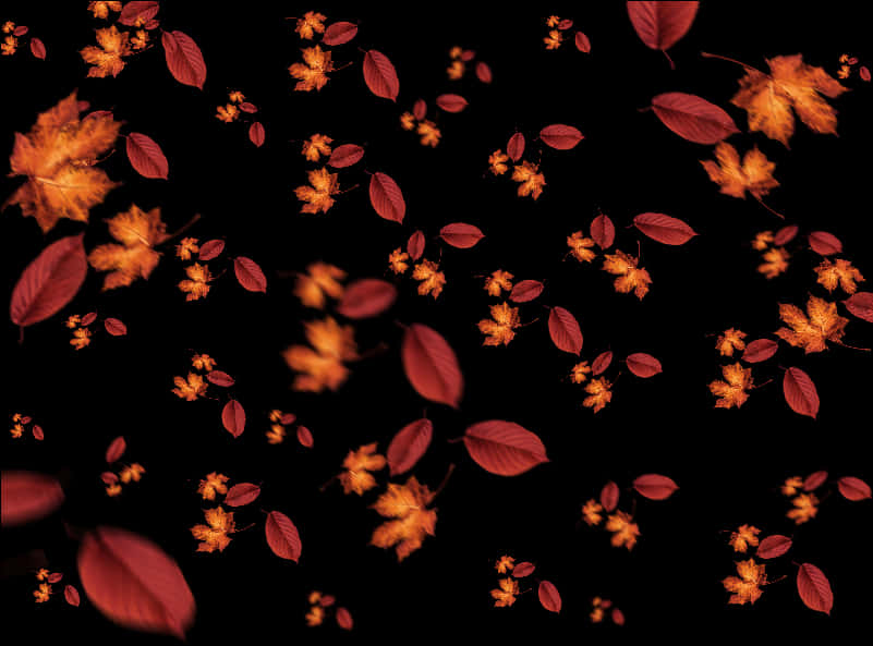 A Group Of Red Leaves