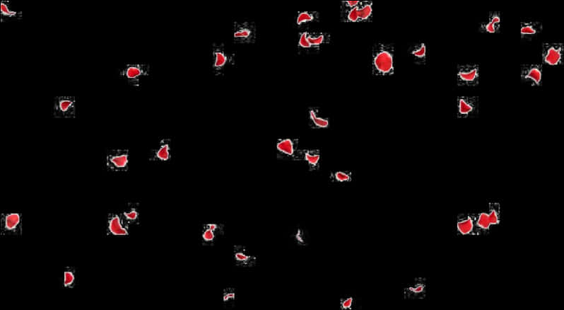 A Group Of Red Petals On A Black Background